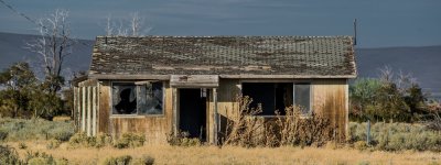 _6009384 (1000x375).jpg