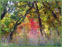 Autumn in the Mountains.jpg