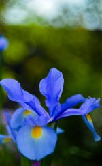 DSC_4693.jpg