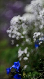 DSC_4715.jpg