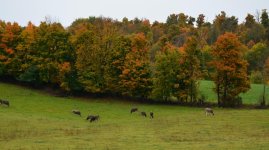 DSC_2671.jpg