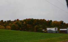 DSC_2672.jpg