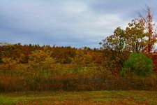 DSC_2675.jpg