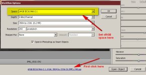 ACR Workflow.jpg