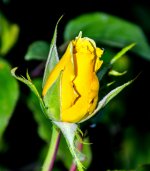 DSC_6227.jpg