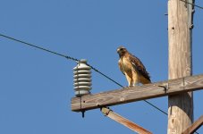 DSC_0480.jpg