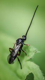 2014_10_0071-Edit-Edit.jpg