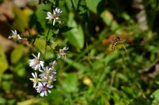 DSC_0573.jpg