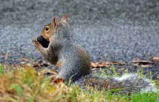 DSC_2752.jpg