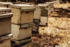 NEW_0219_webshot.jpg