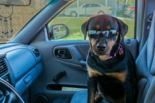 DSC_2404-Edit-2.jpg