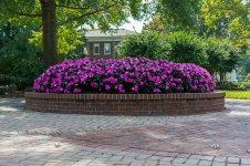 Lee University-2419.jpg