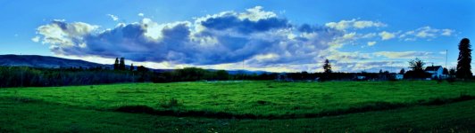 DSC_6397 Stitch-001.jpg