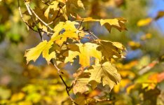 DSC_0728.jpg