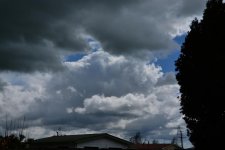 DSC_5359.jpg