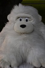 DSC_5280.jpg