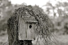 DSC_0795.jpg