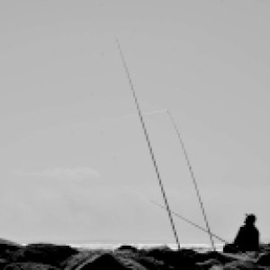 _DSC4000-web.JPG