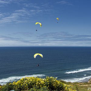 3 Paragliders.jpg