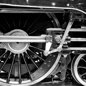 _DSC0022final editJr.jpg