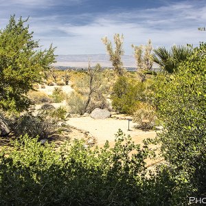 desert landscape 2016.jpg