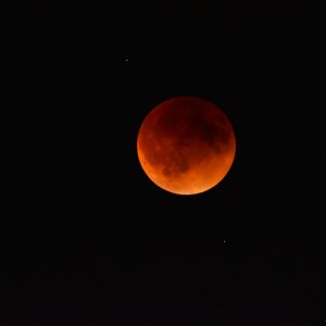 Blood moon 5_15_2022 small.jpg