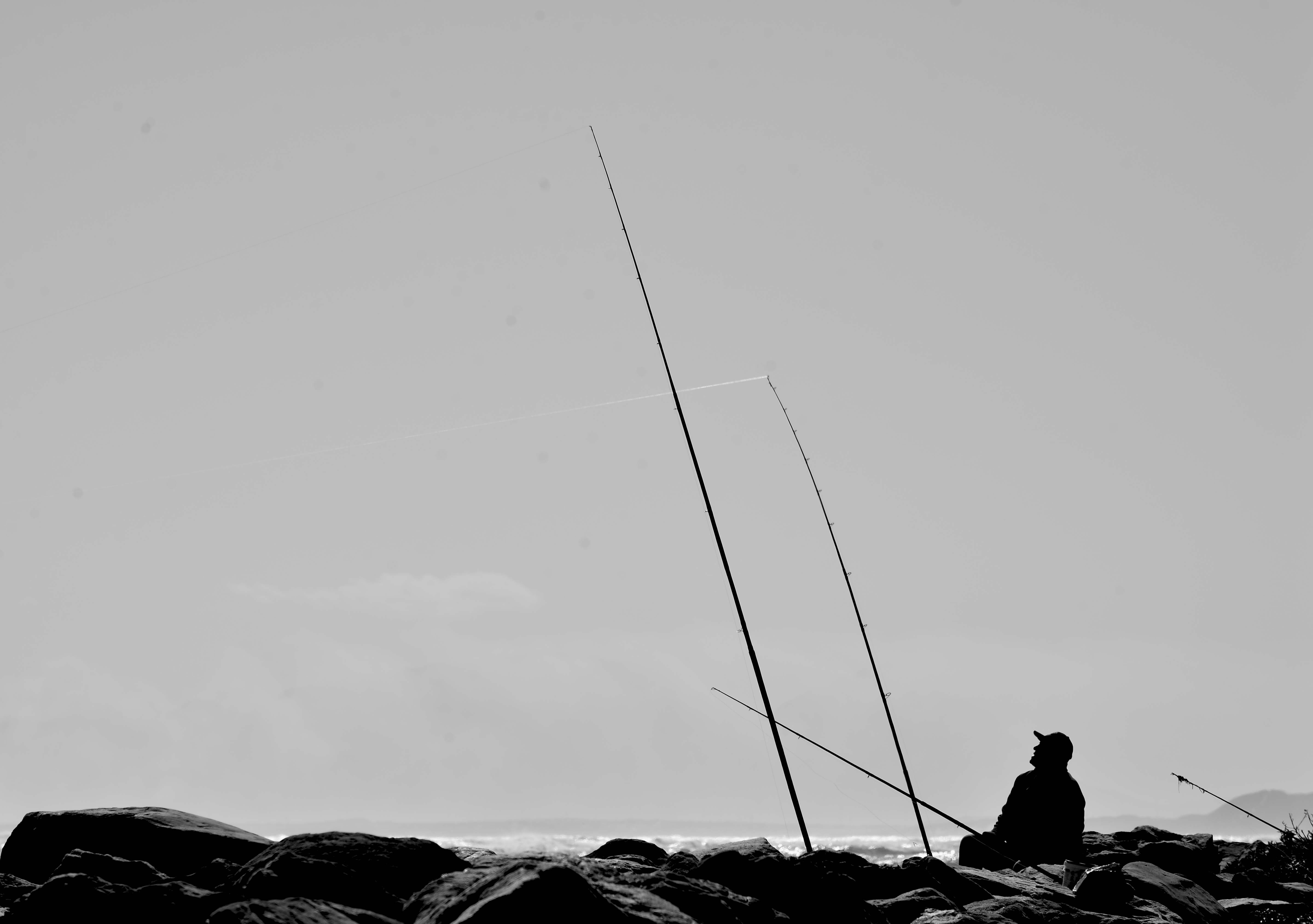 _DSC4000-web.JPG